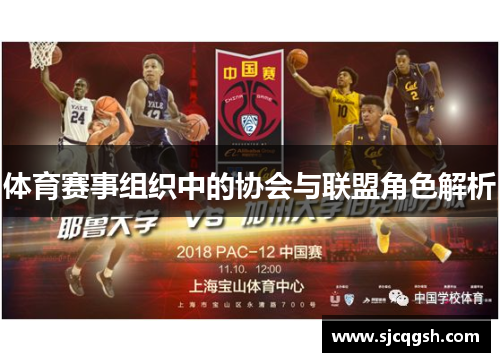 体育赛事组织中的协会与联盟角色解析