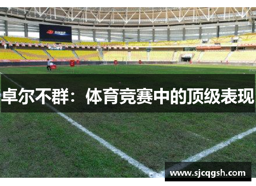 卓尔不群：体育竞赛中的顶级表现