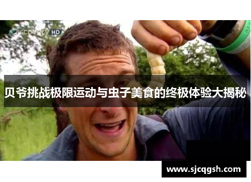 贝爷挑战极限运动与虫子美食的终极体验大揭秘